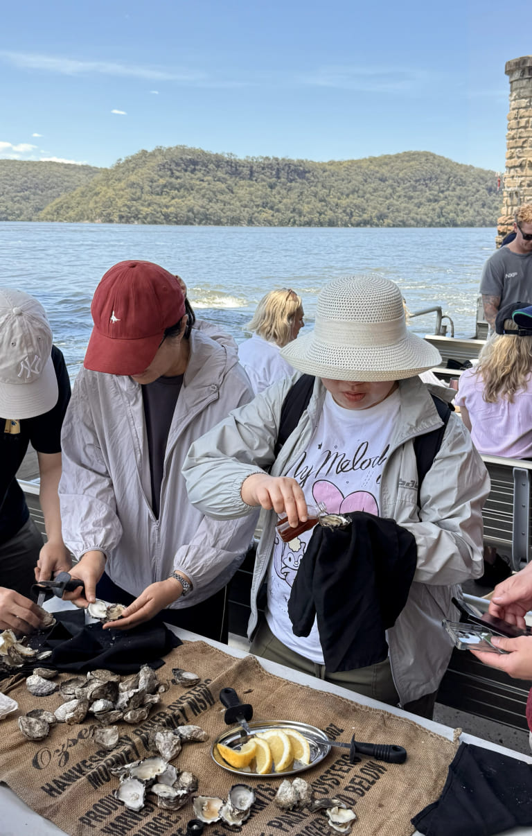 Oysters on the boat tour
