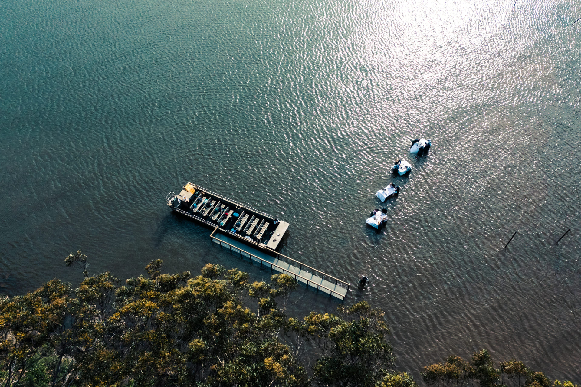 In water dining from the sky