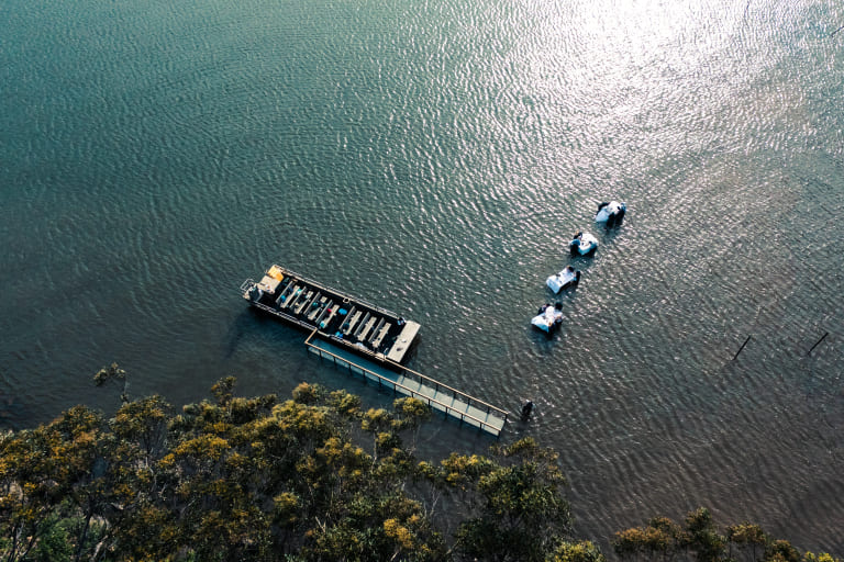 In water dining from the sky