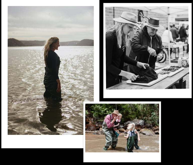 Album of Sydney Oyster Farm Tours experiences